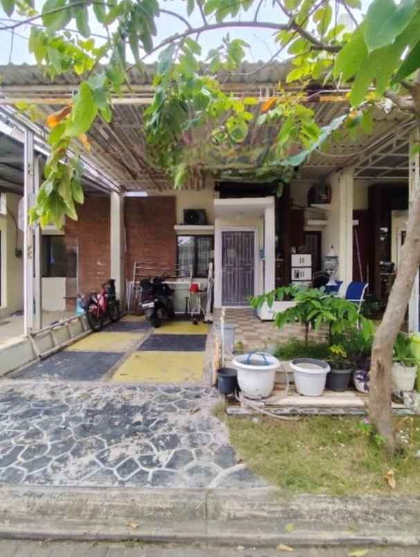 dijual rumah cluster ebony green ara