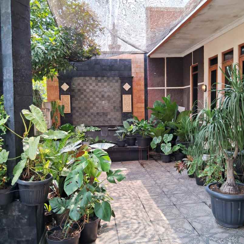 dijual rumah dianggrek loka graha raya