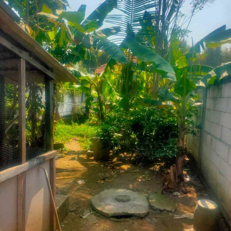 dijual rumah dijual rumah di jalan