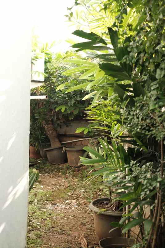 dijual rumah duren tiga
