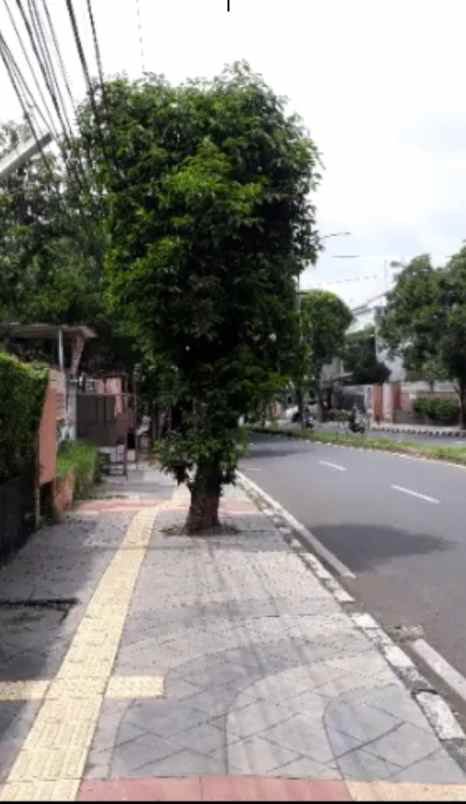 dijual rumah jalan angsana raya bsd