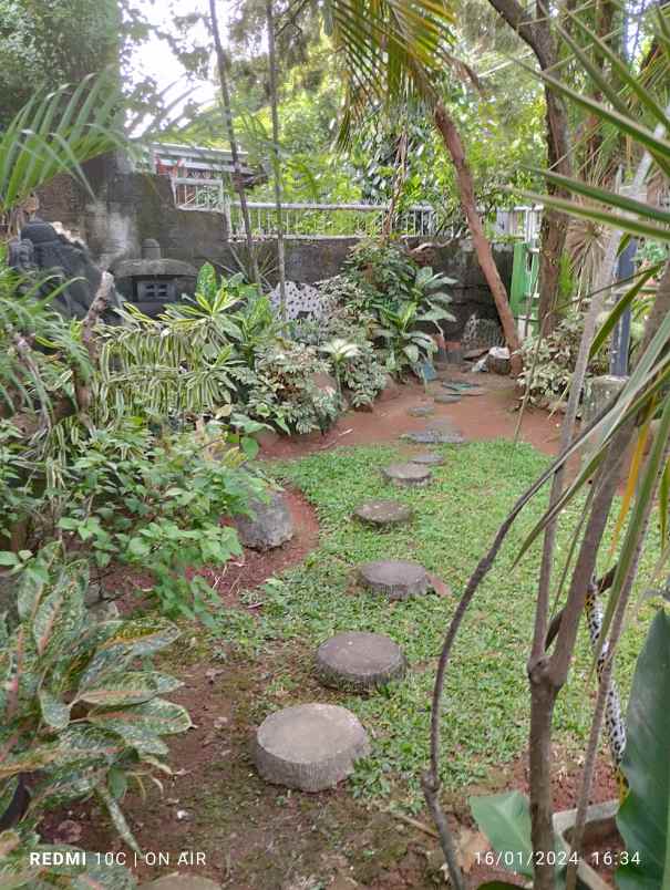 dijual rumah jalan angsana raya bsd