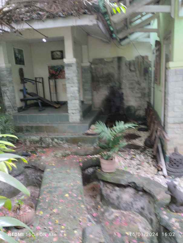 dijual rumah jalan angsana raya bsd
