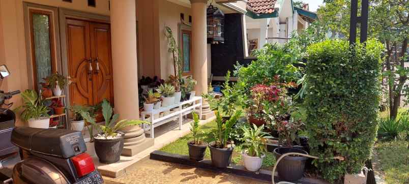 dijual rumah jalan borobudur