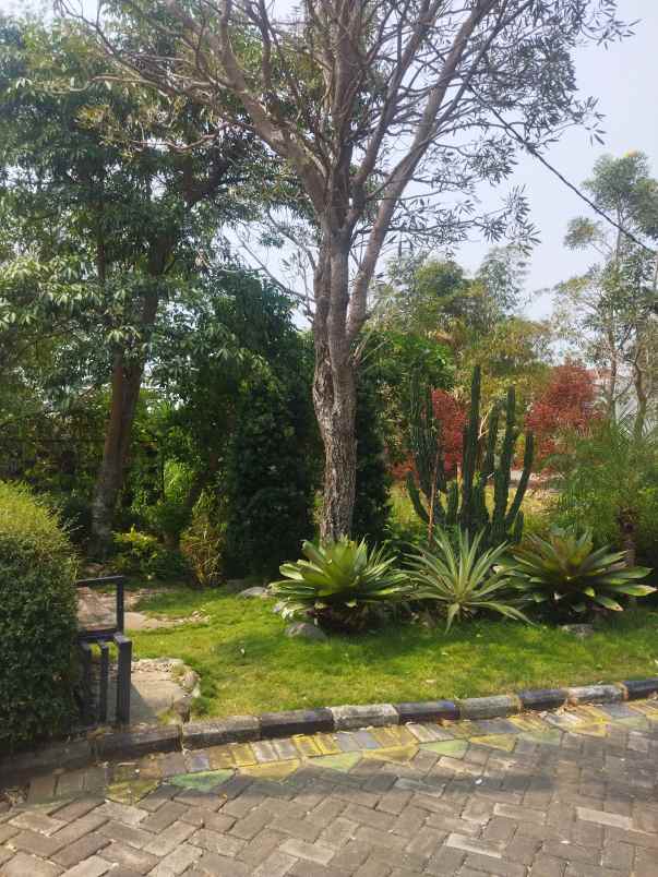 dijual rumah jalan raya bangil pandaan