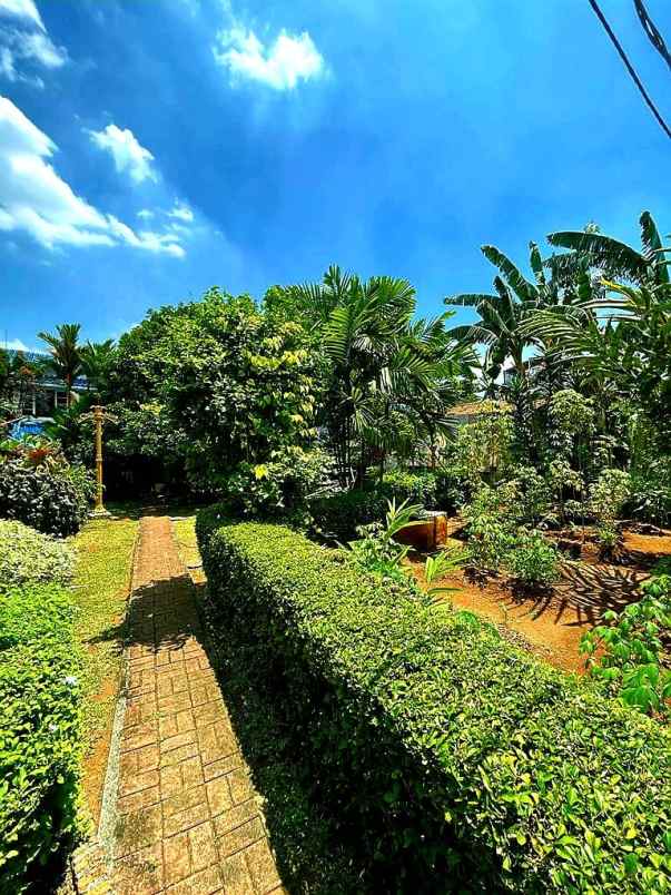 dijual rumah jl m saidi