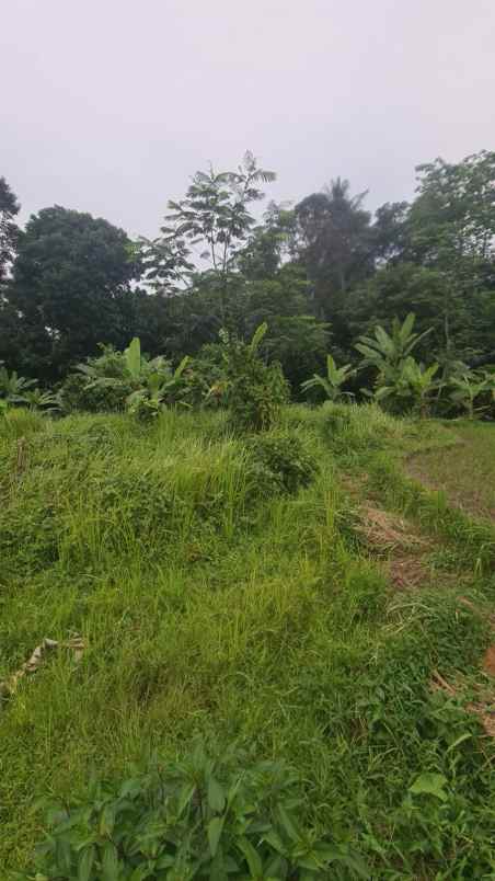 dijual segera tanah shm cocok untuk kebun rumah