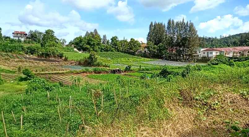 dijual tanah berastagi peceren