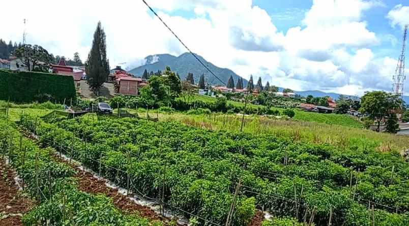 dijual tanah berastagi peceren