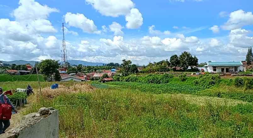 dijual tanah berastagi peceren