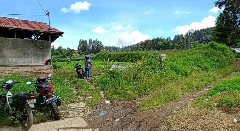dijual tanah berastagi peceren