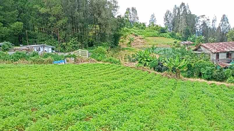 dijual tanah berastagi peceren