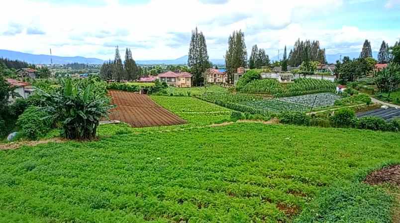 dijual tanah berastagi peceren