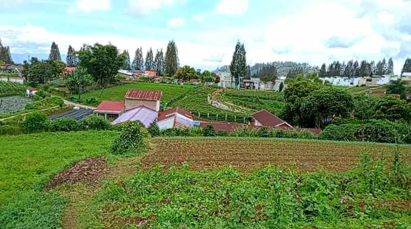 dijual tanah berastagi peceren
