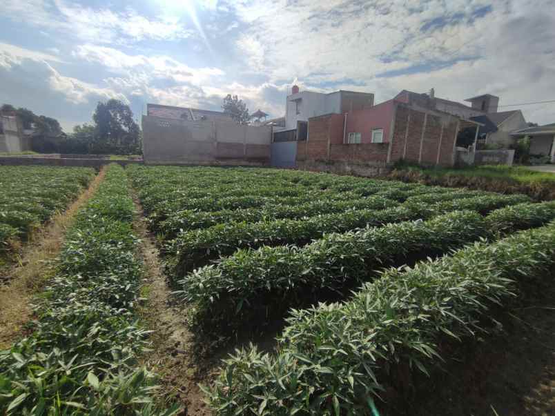 dijual tanah cibiru hilir