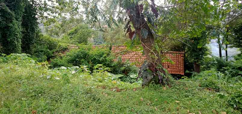 dijual tanah dago giri