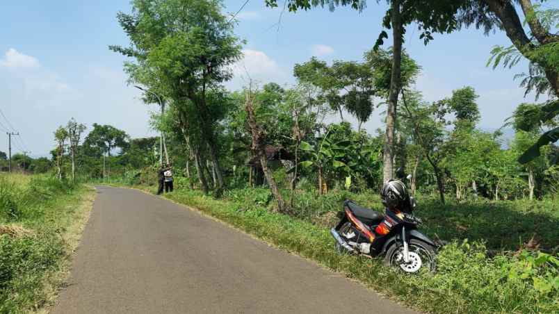 dijual tanah di purwodadi