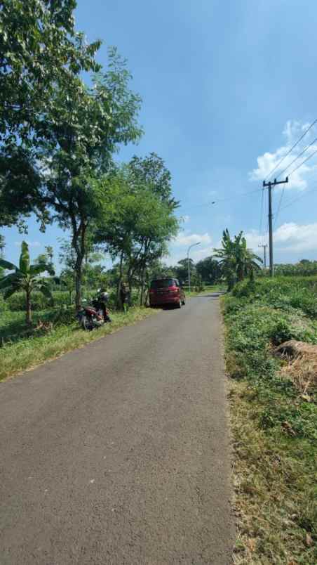 dijual tanah di purwodadi
