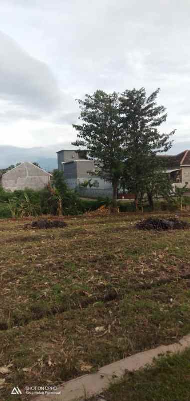 dijual tanah di purwosari kab pasuruan