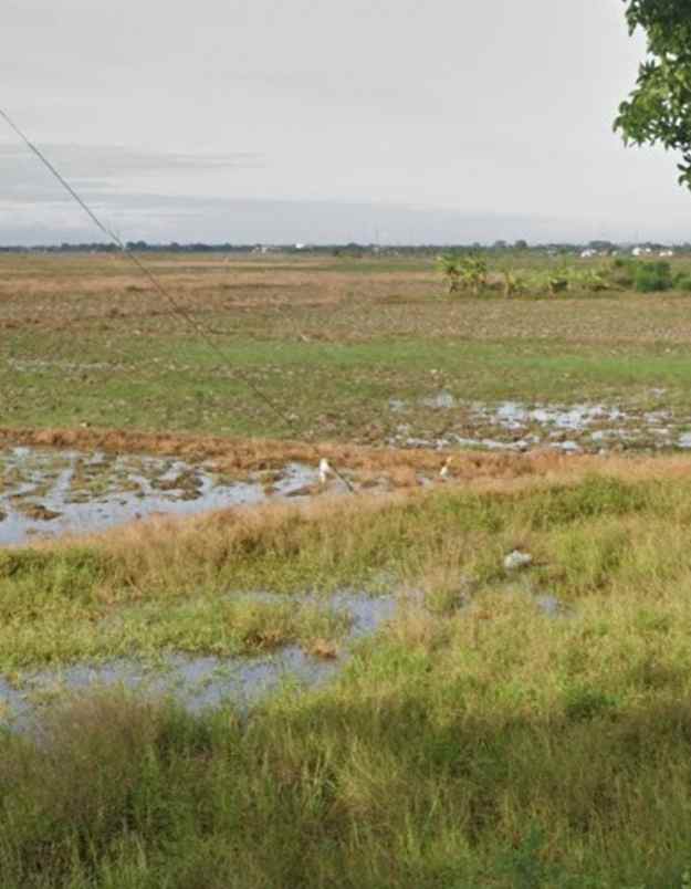 dijual tanah jalan lohbener cirebon