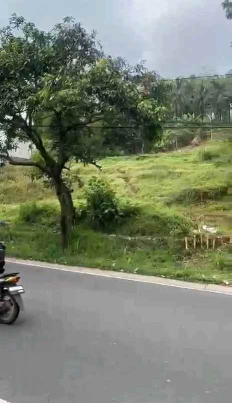 dijual tanah jalan nasional iii desa ciaro