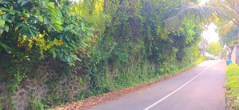 dijual tanah jalan pantai purnama