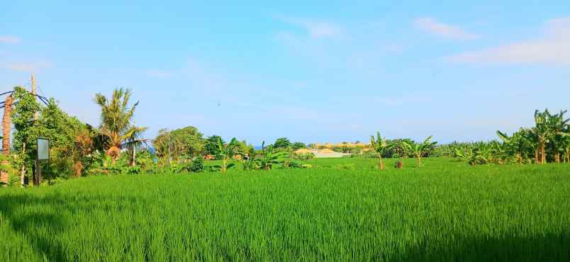 dijual tanah jalan pantai purnama