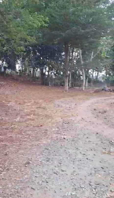 dijual tanah jalan puring 3 waru