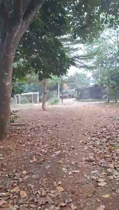 dijual tanah jalan puring 3 waru