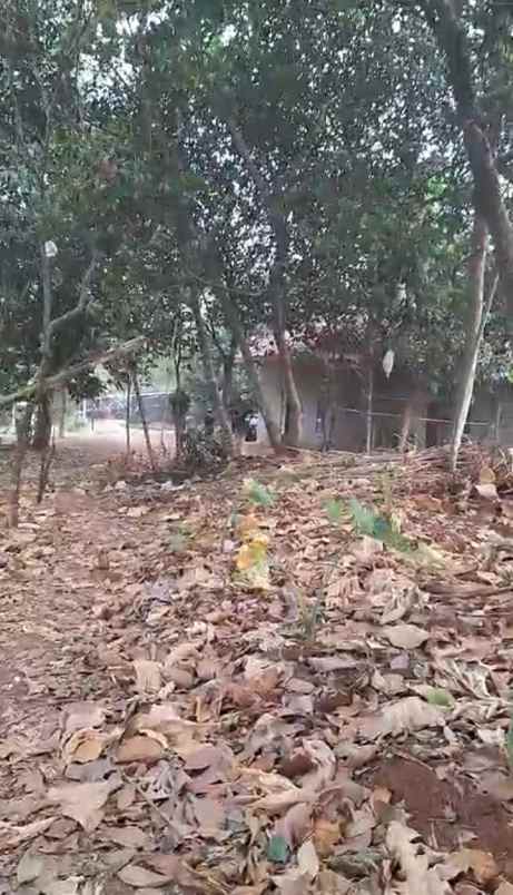 dijual tanah jalan puring 3 waru