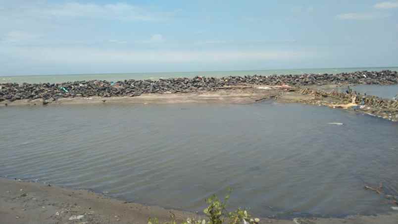 dijual tanah jalan raya kertawinangun