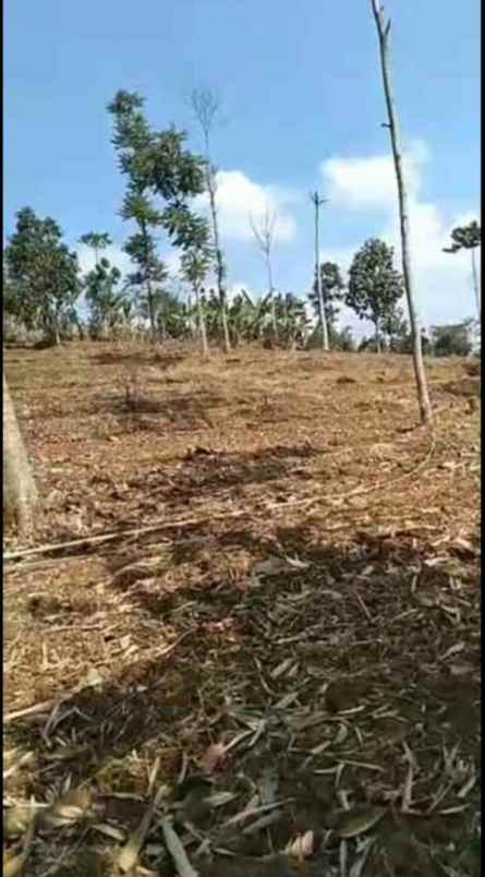 dijual tanah jalan raya rancakalong