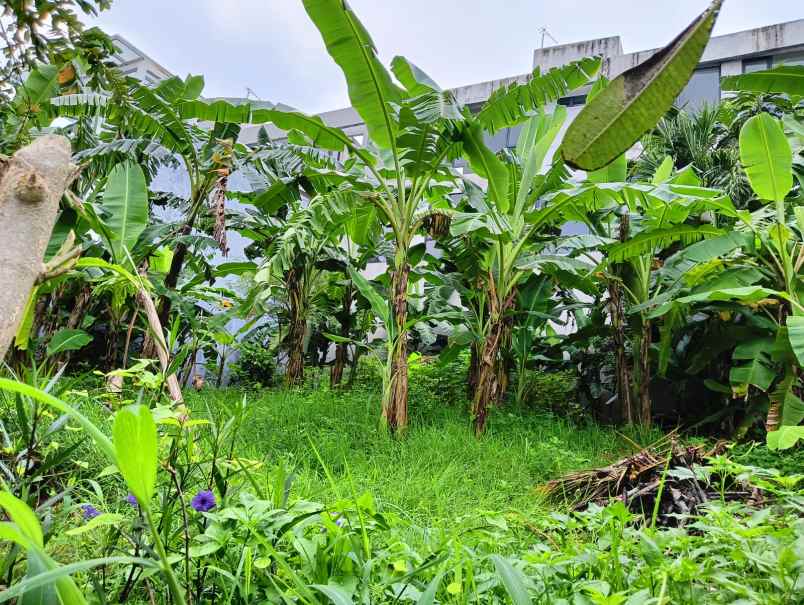 dijual tanah jalan siblat