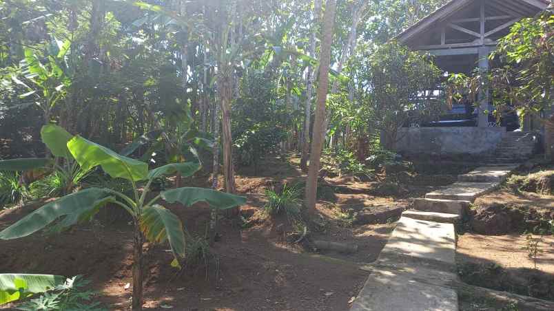 dijual tanah jl cikole