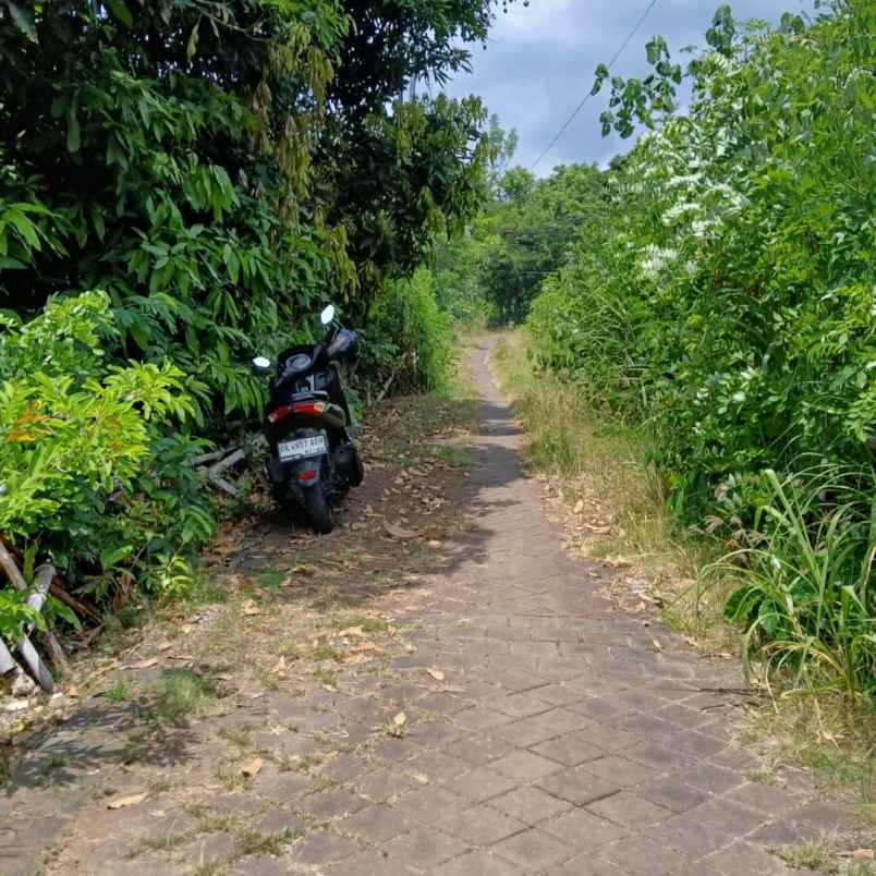 dijual tanah jl palapa poltek