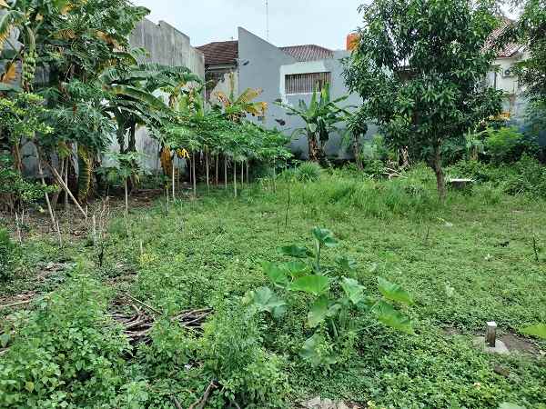 dijual tanah jl ringin raya condong