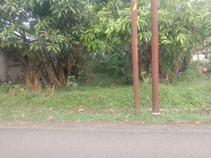 dijual tanah kamarang