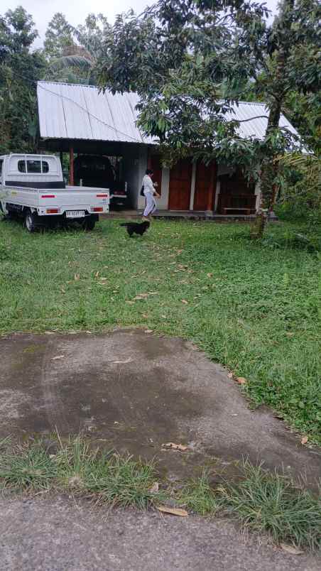 dijual tanah kebun 68 9 are jatiluwih penebel tabanan
