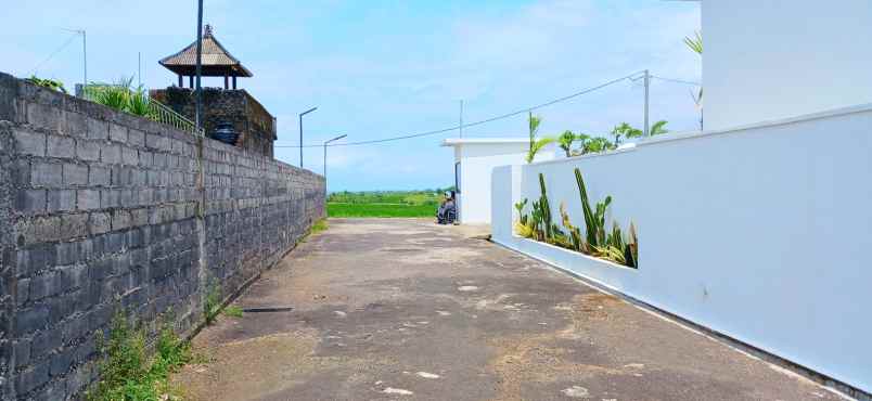 dijual tanah kelating tabanan bali