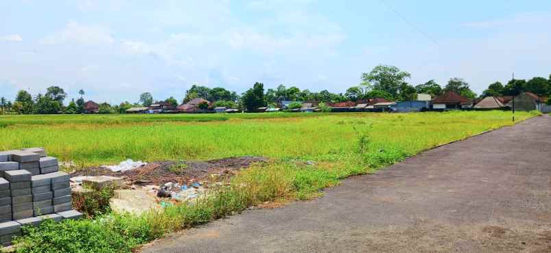 dijual tanah kelating tabanan bali