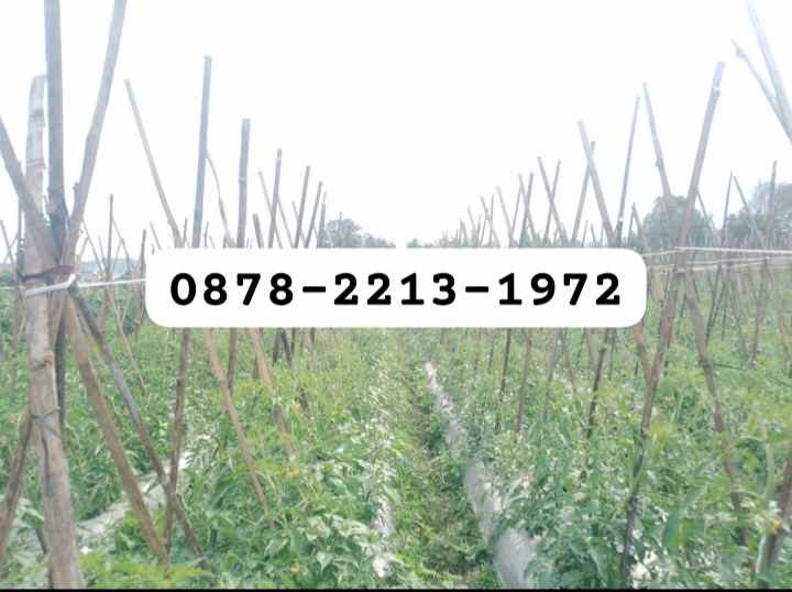 dijual tanah kol masturi lembang bandung