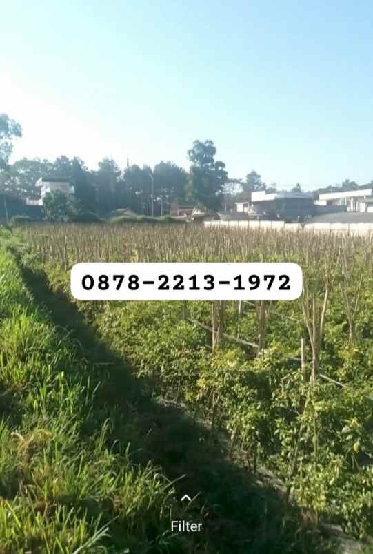 dijual tanah kol masturi lembang bandung