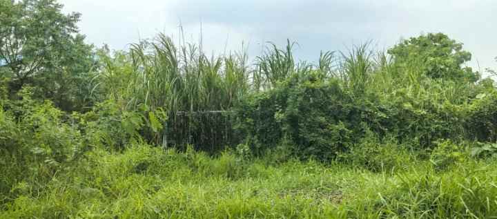 dijual tanah lingkar timur