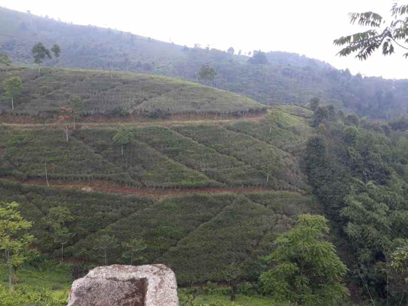 dijual tanah majalengka