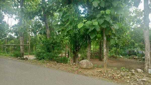 dijual tanah masaran sragen