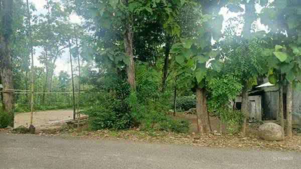 dijual tanah masaran sragen