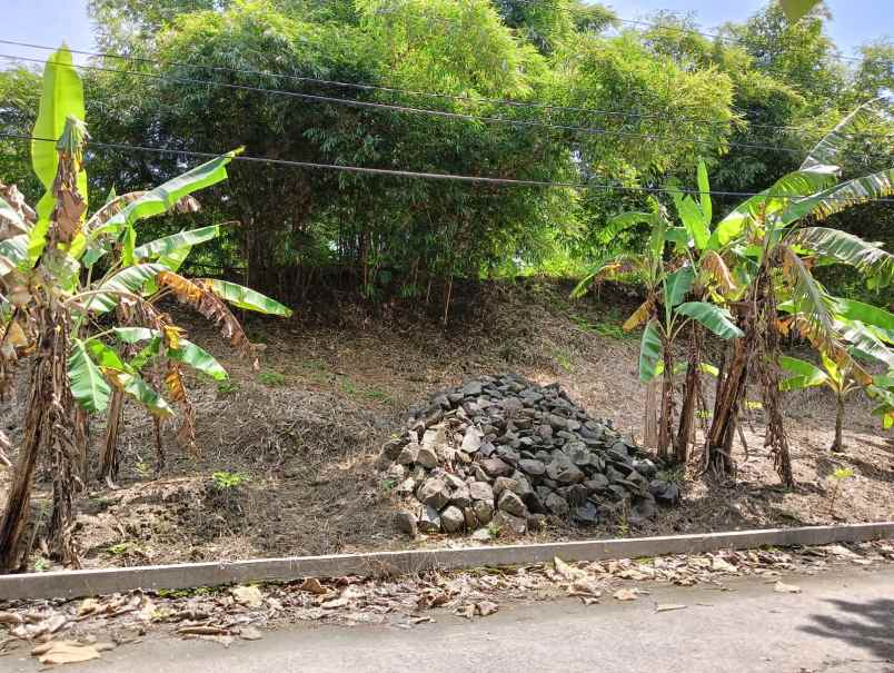 dijual tanah meteseh rowosari