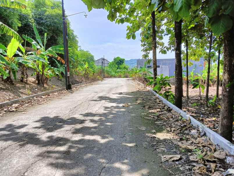 dijual tanah meteseh rowosari