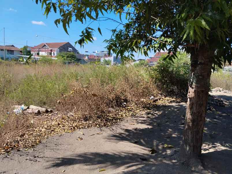 dijual tanah mlati sleman yogyakarta