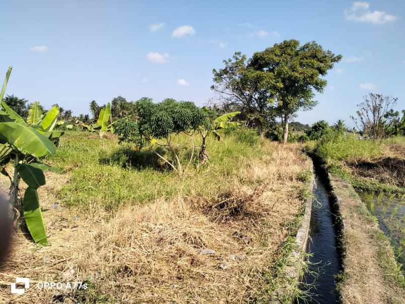 dijual tanah nyambu kaba kaba tabanan bali